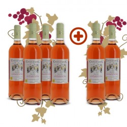 Pack Chantarel Cinsault