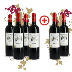 Pack Chantarel Merlot