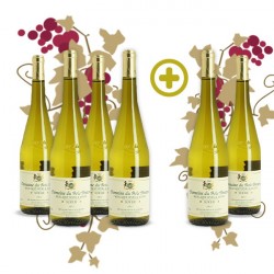 Pack Muscadet Bois Breton 