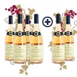 Pack Badet Clément Rosé