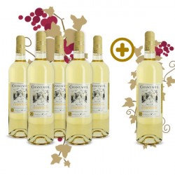 Pack Chantarel Chardonnay