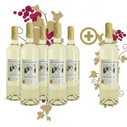 Pack Sauvignon Chantarel
