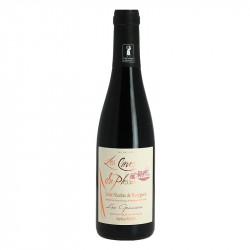 St Nicolas de Bourgueil Cuvée Les Graviers par Les caves du Plessis Demi-Bouteille 37,5 cl