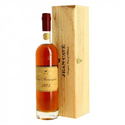 ARMAGNAC MILLESIME 1973 Jean cavé 70 cl