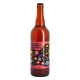 SOUR Beer From Space Edition limitée 75 cl