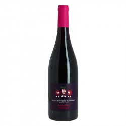 Beaujolais Vieilles Vignes par Jean Baptiste Duperray 75 cl
