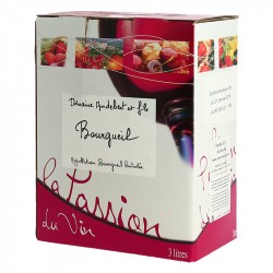 BIB de 3 Litres Bourgueil Domaine Audebert Vin de Loire 