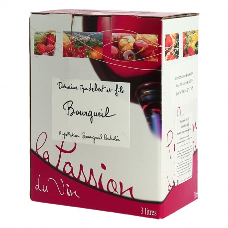 BIB de 3 Litres Bourgueil Domaine Audebert Vin de Loire 