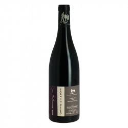 Saumur Champigny Franc de Pied Vin Rouge de Loire Domaine des Roches Neuves par Thierry Germain
