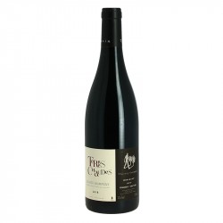 Saumur Champigny Terres Chaudes Domaine des Roches Neuves par Thierry Germain
