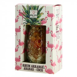 QUAI SUD Mélange pour Rhum Arrangé Ananas Coco Verre ANANAS