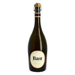 BAU FRIZZANT de MUSCAT vin pétillant fruité 75 cl