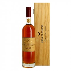 ARMAGNAC Millésime 1995 Jean Cavé 70 cl