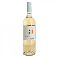 Le CABANON par Château Maylandie Corbières Vin Blanc du Languedoc