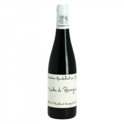 Saint Nicolas de Bourgueil AUDEBERT Demi Bouteille