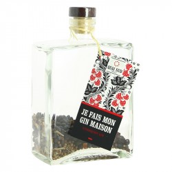 Je Fais Mon Gin Maison Gin Fraise by Quai Sud