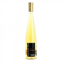 IN EXTREMIS par Jean Paul BRUN Chardonnay Liquoreux 50 cl
