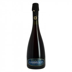 LAMBRUSCO VILLA DEL VENTO SORBARA DOC Secco
