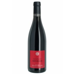 Saint amour Vin du Beaujolais Esprit de séduction par Pascal Berthier