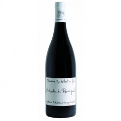 Saint Nicolas de Bourgueil Vin Rouge du Domaine Audebert et Fils