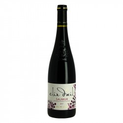 Saumur Vin de Loire Rouge "Clin d'Oeil"