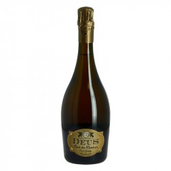 Deus Brut des Flandres Bière 75cl