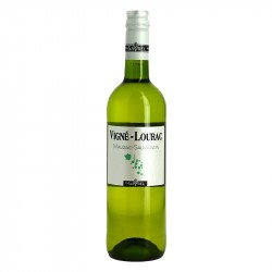 Vigné Lourac Mauzac Sauvignon VDP Côtes du Tarn Vin Blanc 
