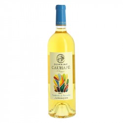 Symphonie de Novembre Jurançon du Domaine Cauhape par Henri Ramonteu Vin Blanc