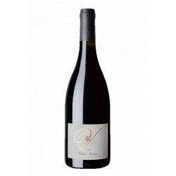 Château Vessière Costières de Nîmes Vin BIO Rouge de la Vallée du Rhône