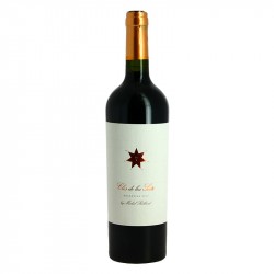 CLOS de LOS SIETE Vin rouge Argentin