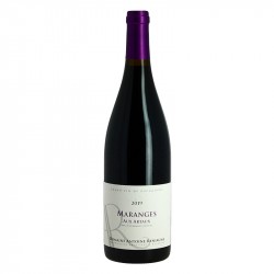 Maranges Rouge 2022 Aux Arthaux Domaine RENIAUM 75 cl