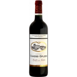 CHASSE SPLEEN Moulis en Médoc 2019 75 cl