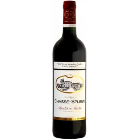 CHASSE SPLEEN Moulis en Médoc 2019 75 cl
