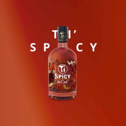 TI SPICY Spiced Rum de CED 70 cl