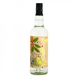 GIN Biologique Thompson Brothers 70 cl