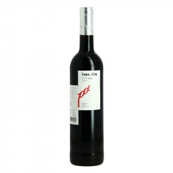 Vin Rouge CEPA ALTA Crianza 2019 DO Ribera del Duero 75 cl