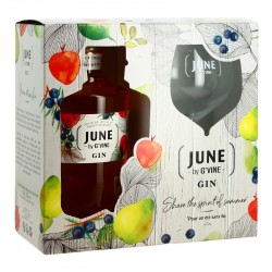 Coffret GIN JUNE by G'Vine Liqueur de Gin à la Pêche de Vigne 70 cl + 1 Verre Piscine