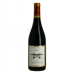 Le BRIC à BRAC St CHINIAN rouge BIO par CALMEL et JOSEPH 75 cl