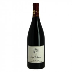 Léna FILLIATREAU Saumur Champigny 75 cl