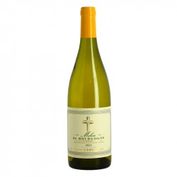 Melon de Bourgogne Domaine CAMUS Coteaux Bourguignon Blanc 2022 75 cl