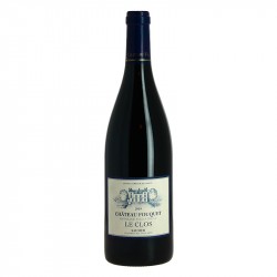 Saumur le Clos 2019 Château Fouquet Domaine Filliatreau