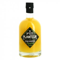 Le PTIT PLANTEUR au Calvados Ananas Ginger 50 cl 17°
