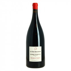 Magnum de Saumur Champigny BIO LE CLOS MARCONNET par le Domaine des FROGERES 2021