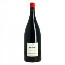 Magnum de Saumur Champigny BIO Les POYEUX par le Domaine des FROGERES 2021