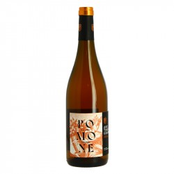 Vin Orange BIO  POMONE AMS TRAM GRAM 2022 75 cl