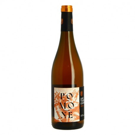 Vin Orange BIO  POMONE AMS TRAM GRAM 2022 75 cl