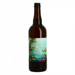 Bière NEPTUNE 75 cl par Brasserie Chromatique
