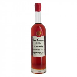 Bas ARMAGNAC DELORD 20 Ans d'Âge 70 cl 40°