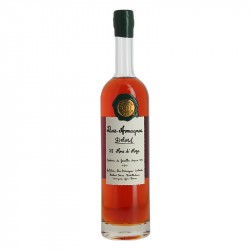 Bas ARMAGNAC DELORD 25 Ans d'Âge 70 cl 40°