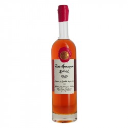 Bas ARMAGNAC DELORD VSOP 70 cl 40°